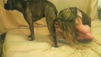 Big dog fucks blonde babe in smashing cam play