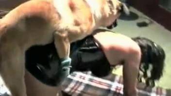 Incredible bestiality scene with doggy style pounding