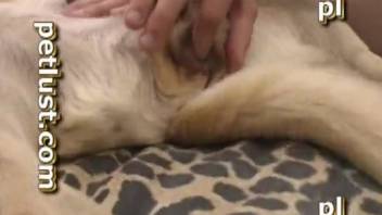 Fantastic and robust animal lover in amateur bestiality XXX video
