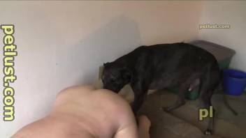 Fat guy with a raging hard-on fucking a doggo