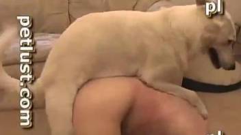 White dog fucks master's ass