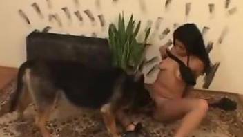 Black high heels brunette fucked by a dog