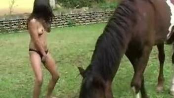 Brunette swallows stallion semen after hardcore farm sex