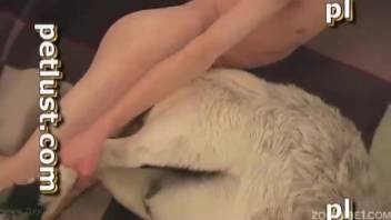 Pale canine attempts backdoor intimacy with a gentleman zoophile