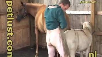 Man Fucks Pony