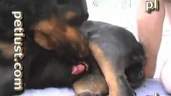 Submissive gay dude fucks a horny-ass dog on camera