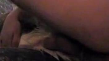 Horny amateur man finger fucks and shags dog in both holes