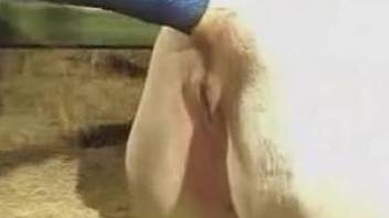 Dude destroys this deliciously pale horse pussy on cam