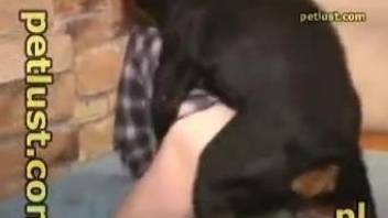 Dog and man anal porn