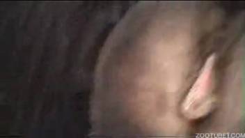 Guy bangs a snug equine vagina and pumps it full of cum