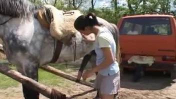 Girl with dark hair is fascinating by big horse cock