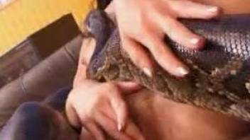 Snake-loving gypsy lady masturbating on the couch