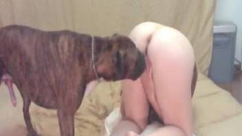 Doggy and big-boobed zoophile are enjoying nasty bestiality XXX