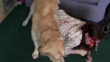 Skirt-wearing brunette fucks her boyfriend and his dog