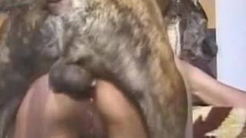 Naked amateur masturbates and fucks a dog