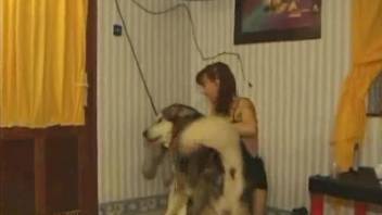 Redheaded beauty in green socks fucks a kinky dog