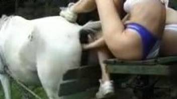 Skinny zoo whore fists fucks the horse