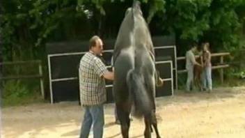 Two horses fucking in front of the horned up farmers