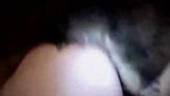 Dog licks woman's pussy then fucks her pretty hard