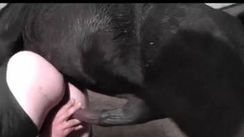 Big booty zoophile slut gets screwed from behind