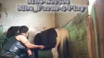 Mature lady deepthroating a horse's massive penis