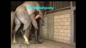 Welsh horse fucker getting his asshole decimated