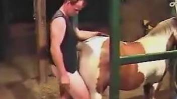 Dude violently fucking a mare's wet little slit