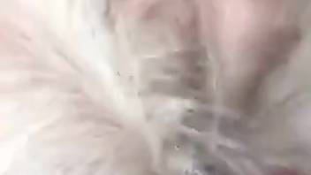 Intimate shots of a man vigorously penetrating his pet
