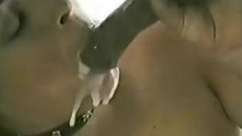 Collared zoo sex addict cannot wait for horse cum