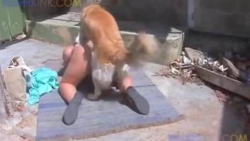 Golden retriever pleases curvy ass woman with outdoor sex