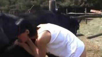 Brunette in white sucking on a stallion's big cock