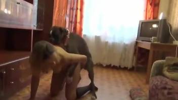 Older gal fucking a freaky dog in a RU zoo porn