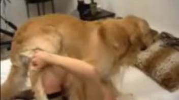 Housewife in fishnet stockings gets pounded by a canine