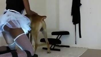 Big dog fucks petite woman in the pussy