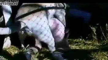 Joyous bestiality sex with VERY horny animals