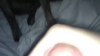 Man's shaggy dick getting satisfied by a lustful creature
