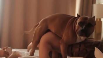 Supple slut enjoying romantic loving with her mutt