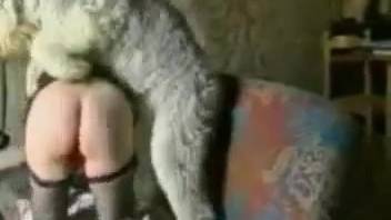 Sexy babe in fishnets getting pounded doggy style