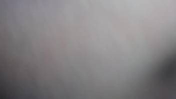 Curvy ass chick loving sex with an excited mutt