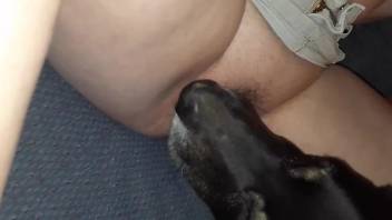 Sexy beast is happy to lick that pussy thoroughly