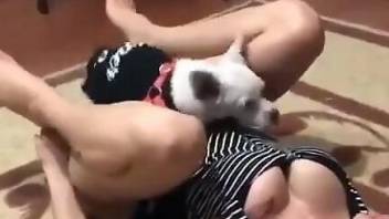 cumming