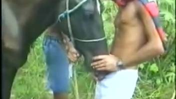 Indian Bestiality Videos