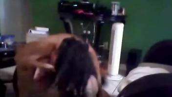 Doggystyle fucking and hardcore gape with a dog