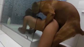 Avid dog fucker enjoys one more orgasm right here