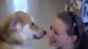 Playful babe making out with a dog just as a joke