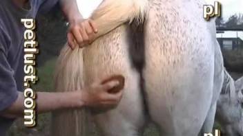 Compilation of hard sex with very kinky animals