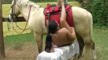 Plump Hispanic woman fully pleasured by a well-endowed stallion