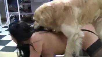 Extreme fucking with two girls and their horny dog