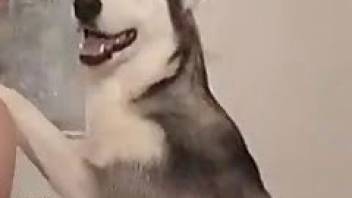 Hairy guy fucked husky in pussy