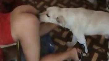 Bad women having sex with dog bestiality vid